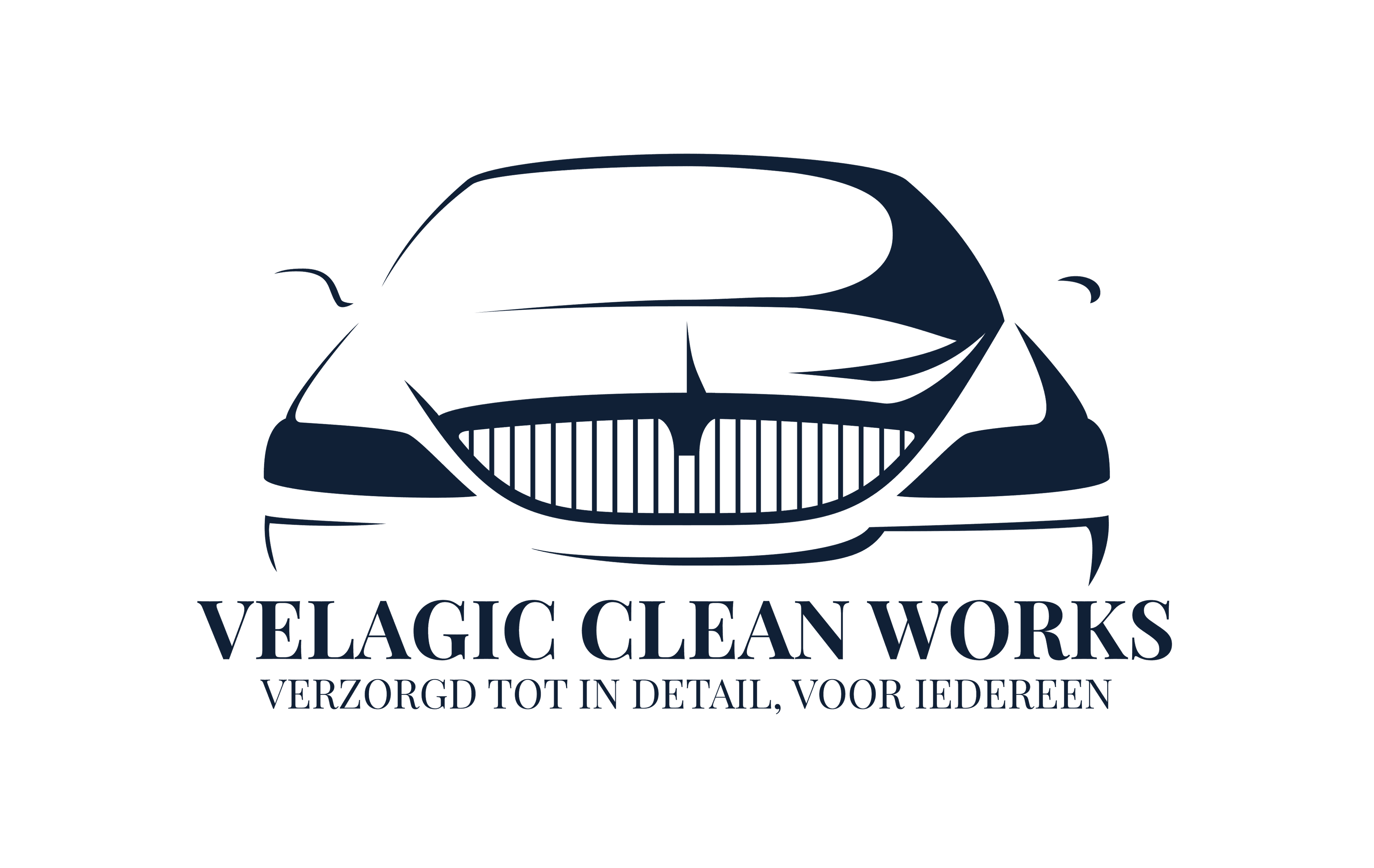 Velagic Clean Works